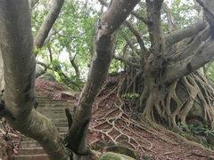 -宋井风景区