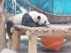 -沈阳森林动物园