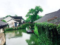 -鲁镇