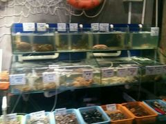 水产区-老胶东家常菜馆(市场一路店)