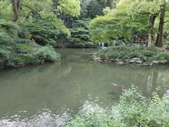 -杭州植物园
