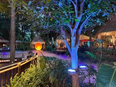 -二荆条·蜀鲜汇城市森林火锅