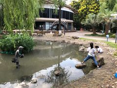 -苏州河梦清园环保主题公园