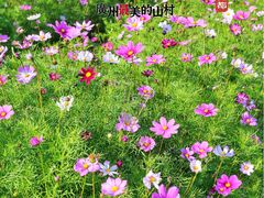 -红山村