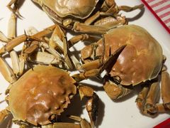 -虾享蟹逅小龙虾·螃蟹·小海鲜(吉林省总店)