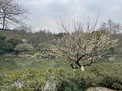-杭州植物园