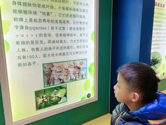 -上海昆虫博物馆