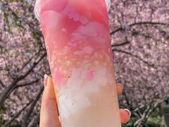 -CoCo都可(湖滨银泰店B区店)