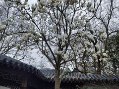 -郑和公园