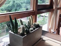 -时光花园(白鹭洲店)