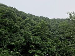 -天怡·鱼工厂(梅溪湖店)