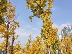 -百林公园-两江幸福广场