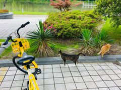 -东华大学(松江校区)