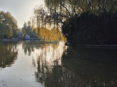 -洛阳市隋唐城遗址植物园