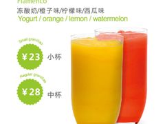 弗拉明戈-Salud撒露欧洲冻酸奶(798艺术区店)