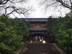 -灵谷景区