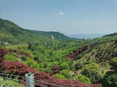 -溪口-滕头旅游景区