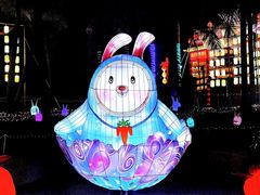 -欢乐海岸椰林沙滩-2025湾区超级灯会