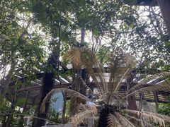 -张家港金凤凰度假村温泉