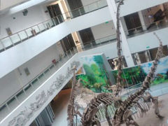 android_upload_pic-中国地质大学逸夫博物馆