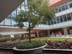 -香港大学