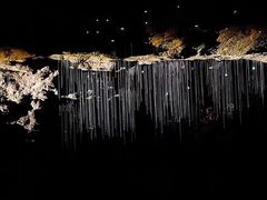 -怀托摩萤火虫洞