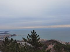 -石老人观光园