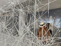 -罗红摄影艺术馆