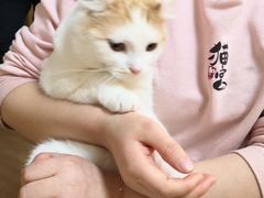 -猫和宫(六道口店)