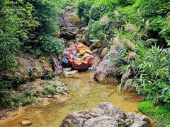 -南海湾森林生态园