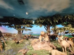 -国家自然博物馆