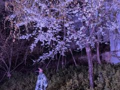 -龟山风景区-龟山电视塔