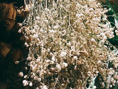 -春暖花开(西溪店)