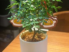 -CURRY YA 熟成咖哩專門店(深圳湾万象城店)