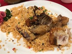 -田园小观园(武大店)