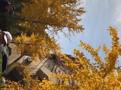 -农园餐厅(北京大学店)