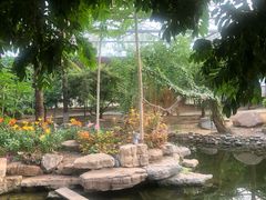 -南通洲际绿博园