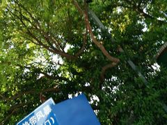 -热带风暴水上乐园(新镇路)