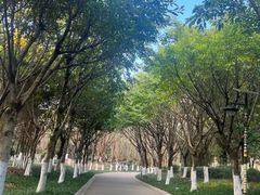 -西昌邛海湿地