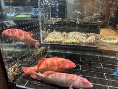 -许家菜(望江店)