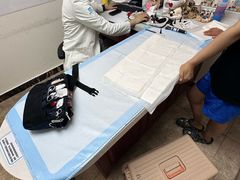 -美联众合动物医院·24h转诊中心