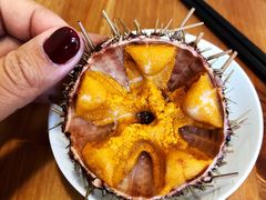 -海胆小馆(东北水饺·春柳店)