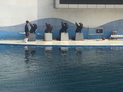 -北戴河圣蓝海洋公园