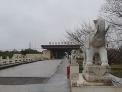 -海上花岛玫瑰园采摘