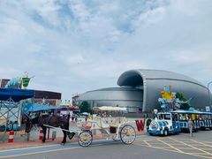 -烟台海昌鲸鲨海洋公园