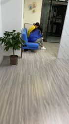 -凡碧诗毛孔收细