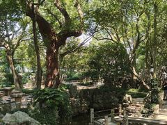 -绮园景区