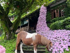 -巴倒烫陆派火锅山庄(南山总店)