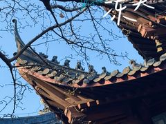 -灵谷景区