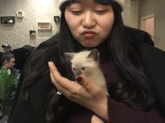 -吱咖啡西式简餐